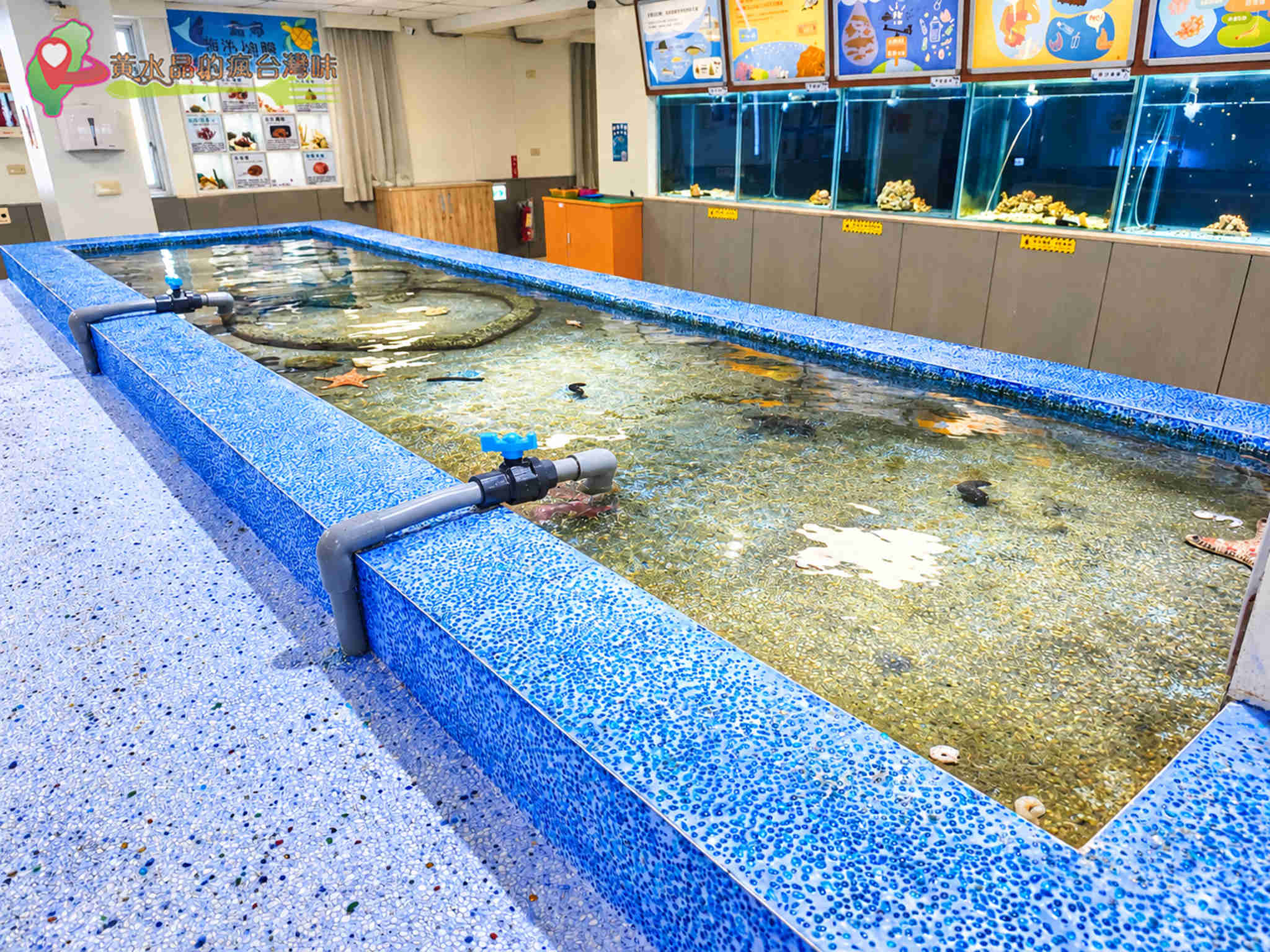 澎湖縣水產種苗繁殖場|觸摸體驗 澎湖縣水產種苗繁殖場|觸摸體驗