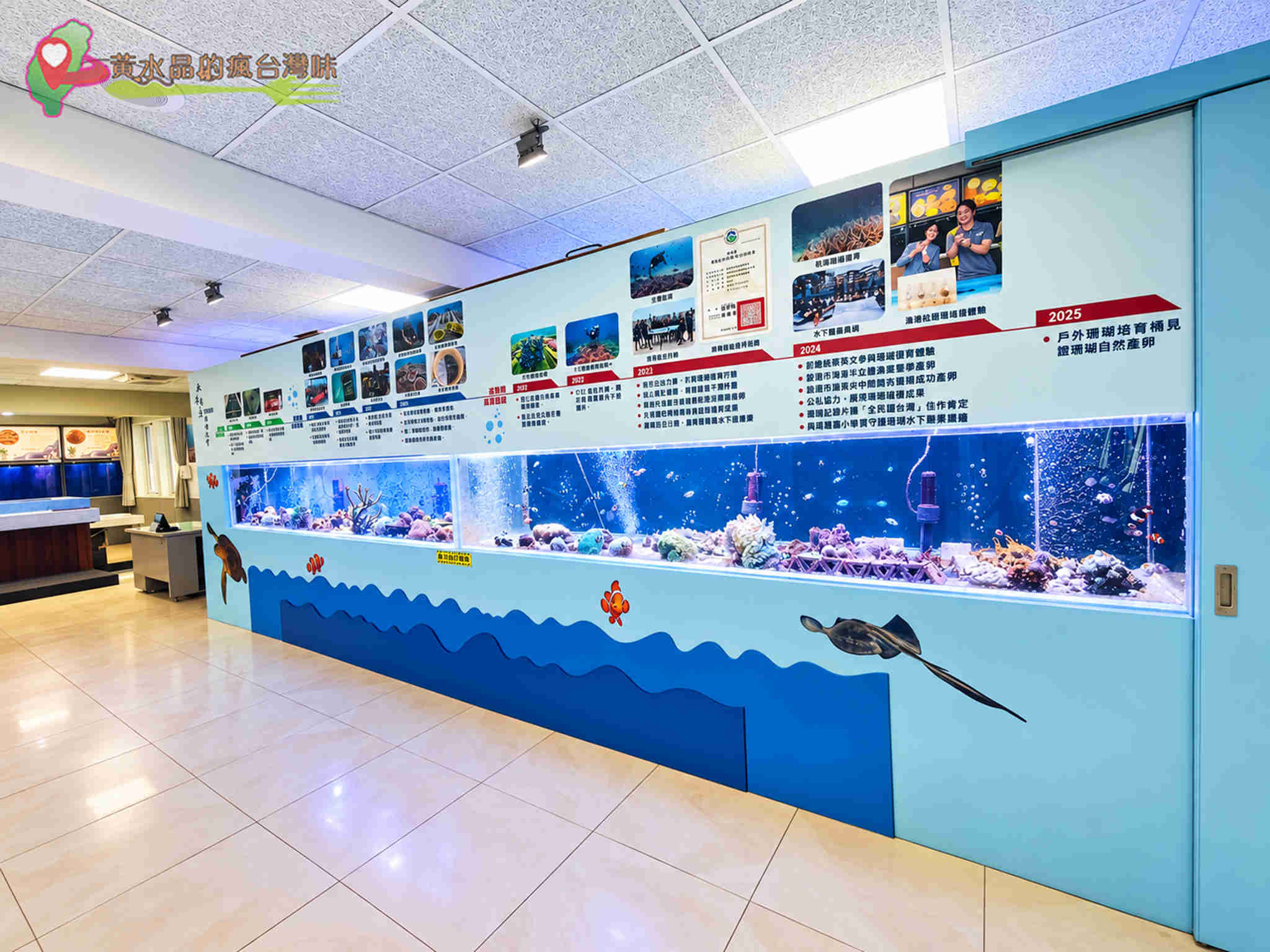 澎湖縣水產種苗繁殖場|迷你版水族館 澎湖縣水產種苗繁殖場|迷你版水族館