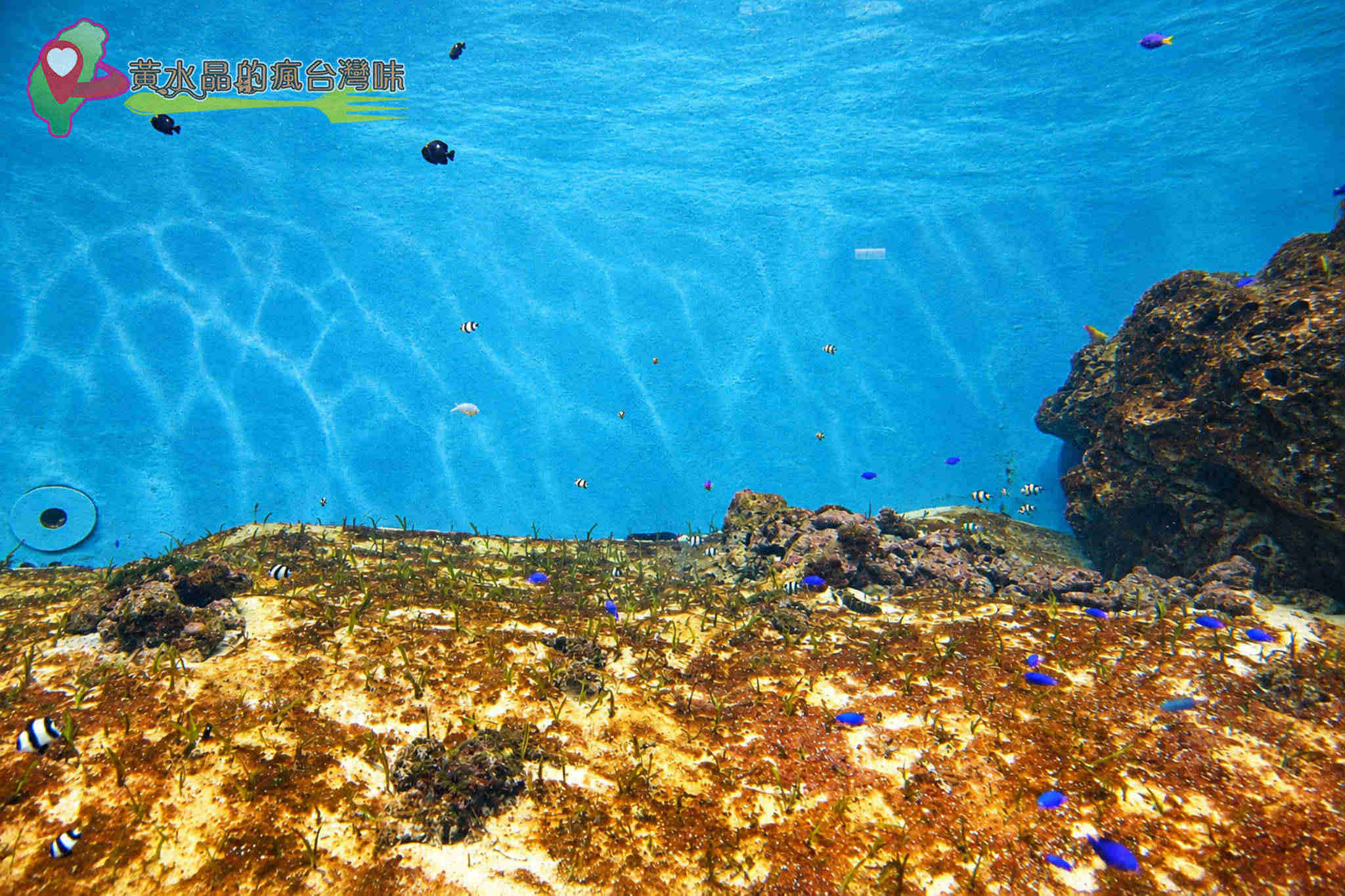 Xpark水族館|入口 Xpark水族館|入口
