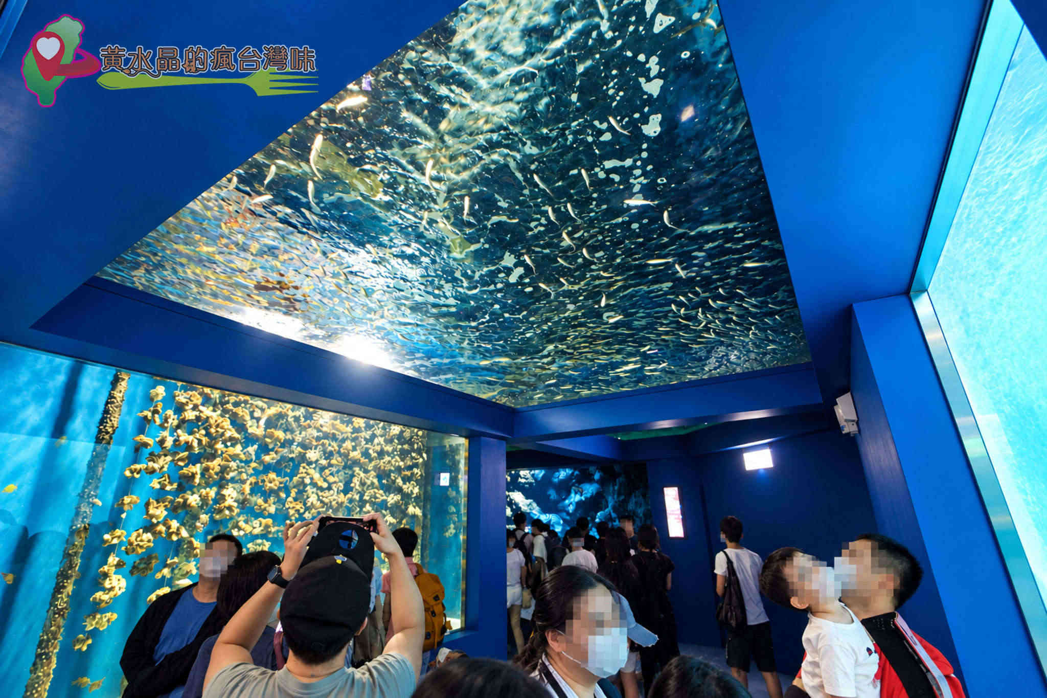Xpark水族館|入口 Xpark水族館|入口
