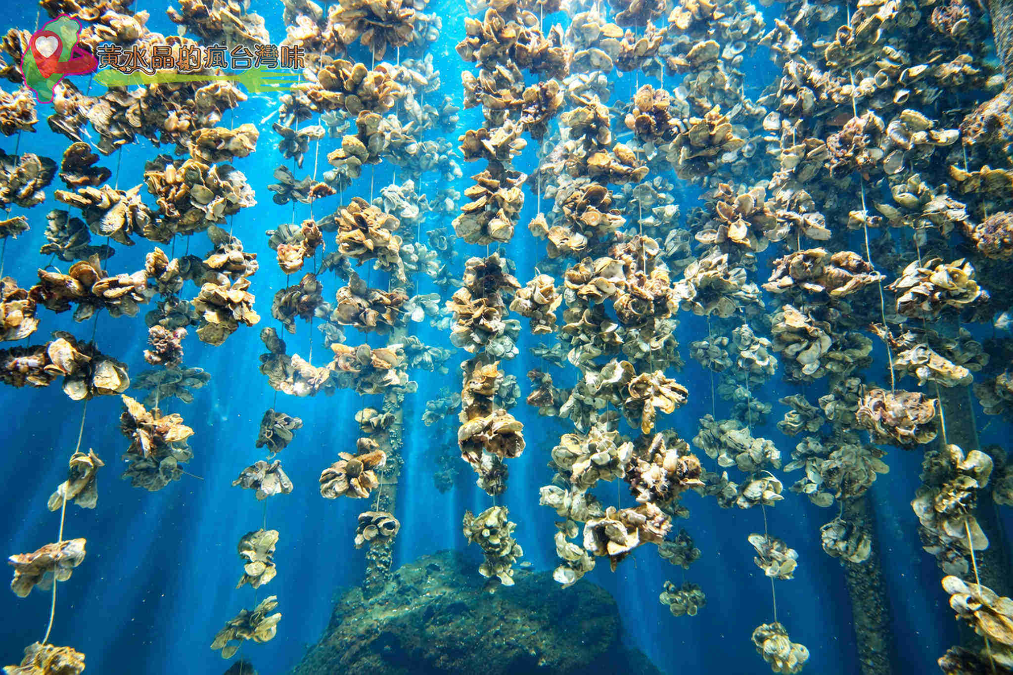 Xpark水族館|入口 Xpark水族館|入口