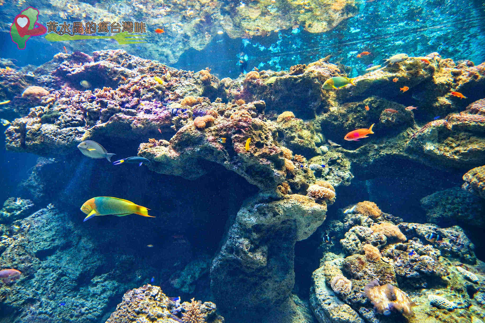 Xpark水族館|入口 Xpark水族館|入口
