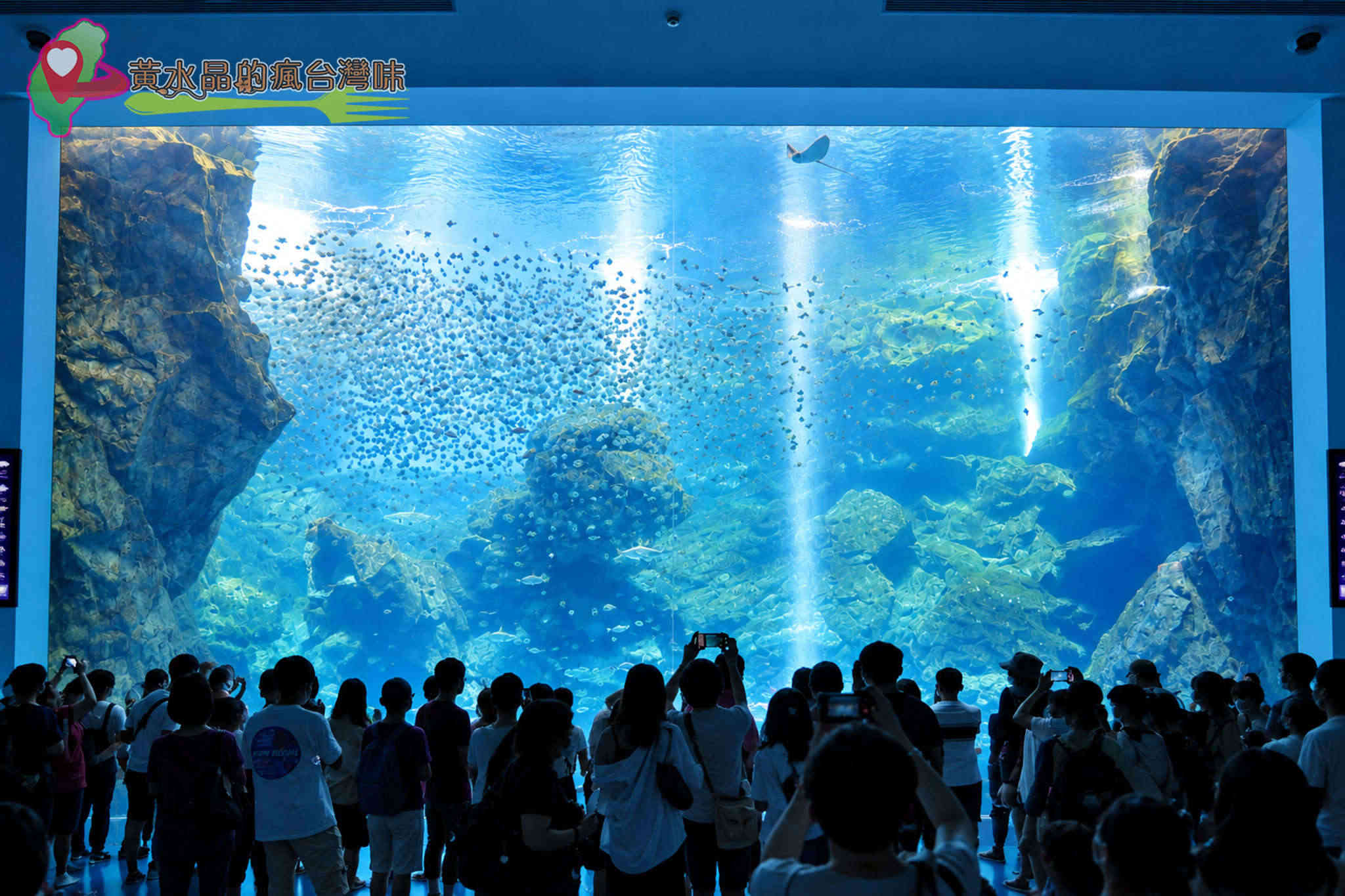 Xpark水族館|福爾摩沙 Xpark水族館|福爾摩沙