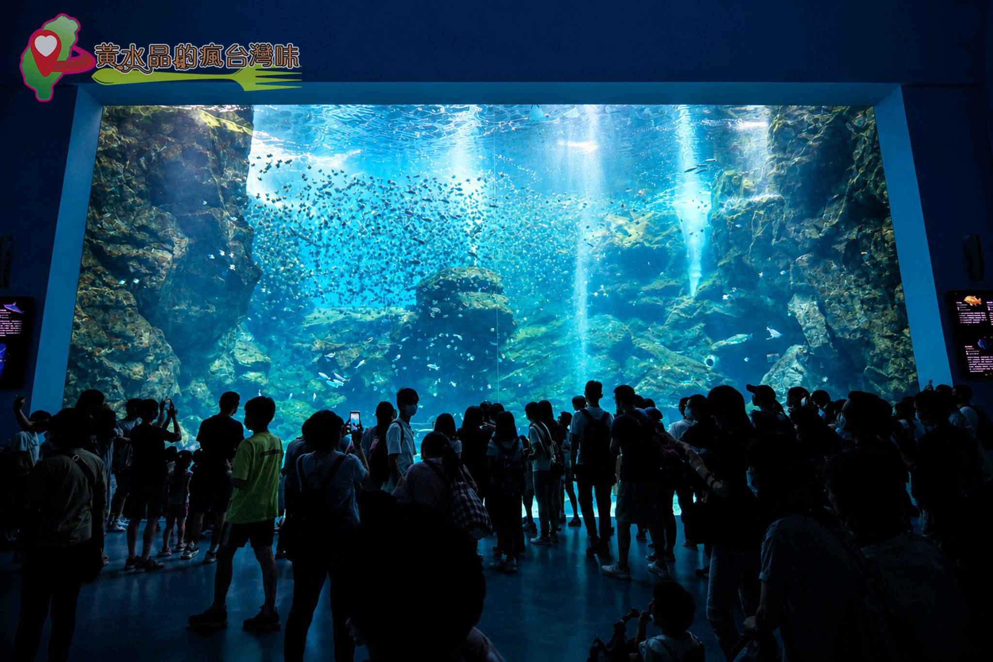 Xpark水族館|福爾摩沙 Xpark水族館|福爾摩沙