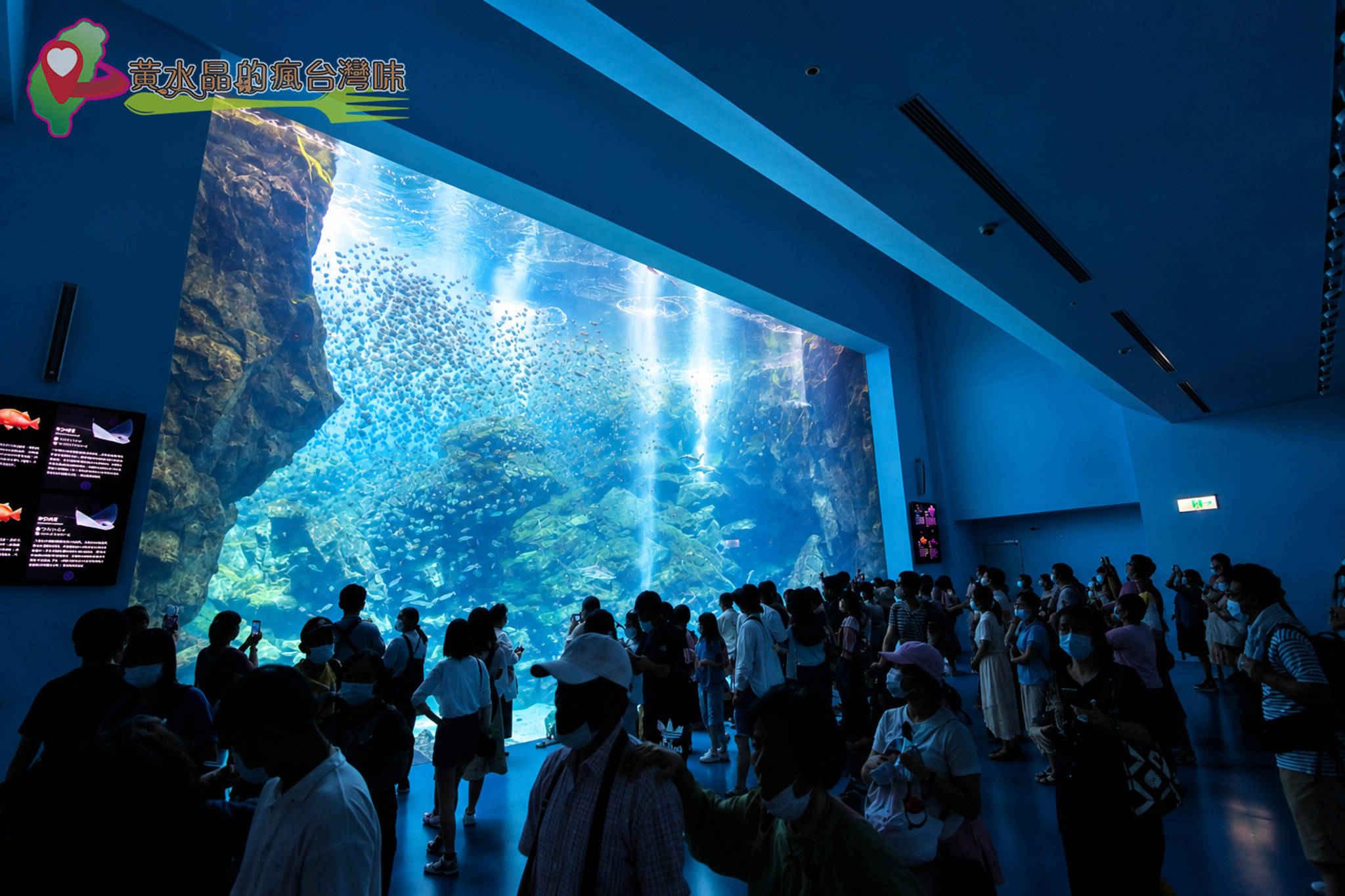 Xpark水族館|福爾摩沙 Xpark水族館|福爾摩沙