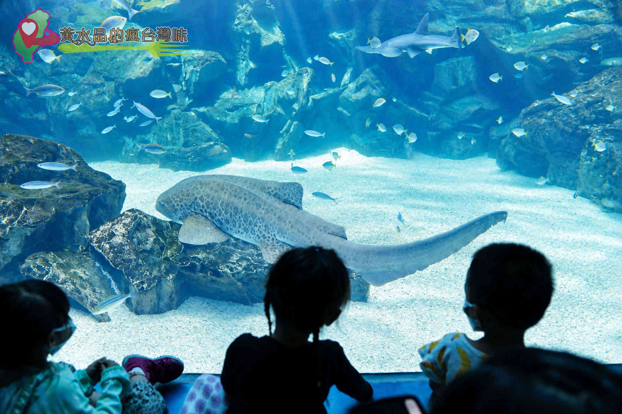 Xpark水族館|福爾摩沙 Xpark水族館|福爾摩沙