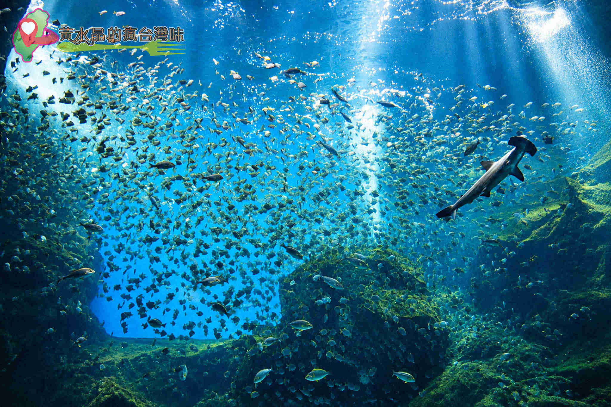 Xpark水族館|福爾摩沙 Xpark水族館|福爾摩沙