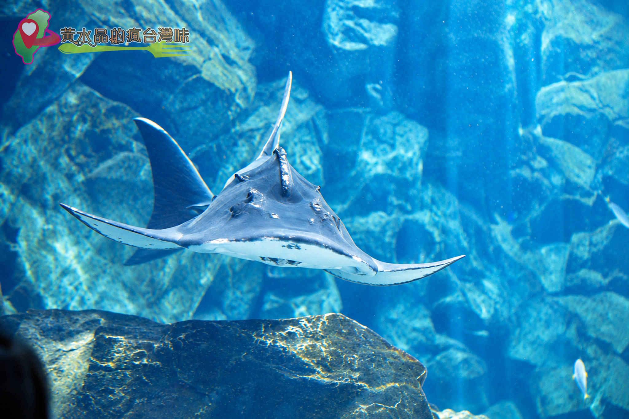 Xpark水族館|福爾摩沙 Xpark水族館|福爾摩沙