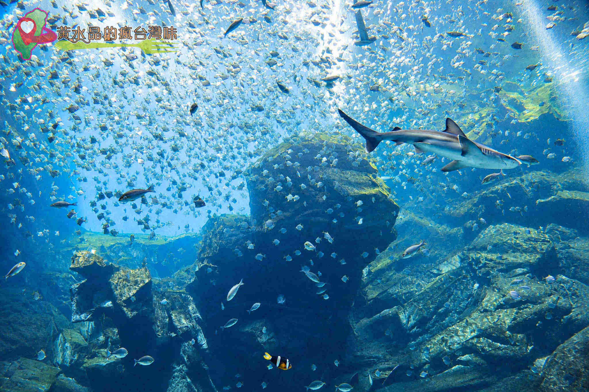 Xpark水族館|福爾摩沙 Xpark水族館|福爾摩沙