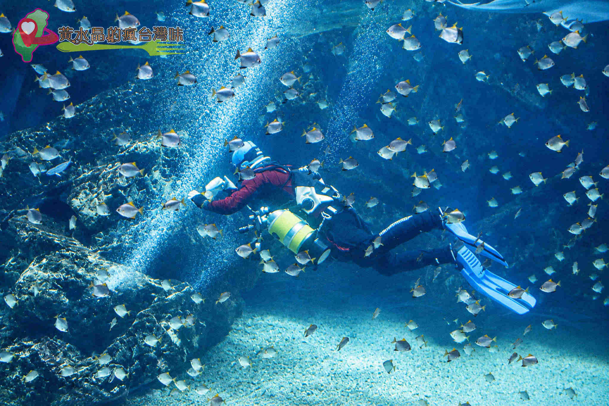 Xpark水族館|福爾摩沙 Xpark水族館|福爾摩沙