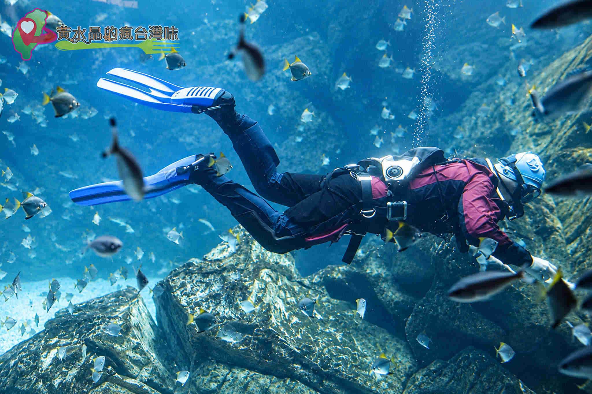 Xpark水族館|福爾摩沙 Xpark水族館|福爾摩沙