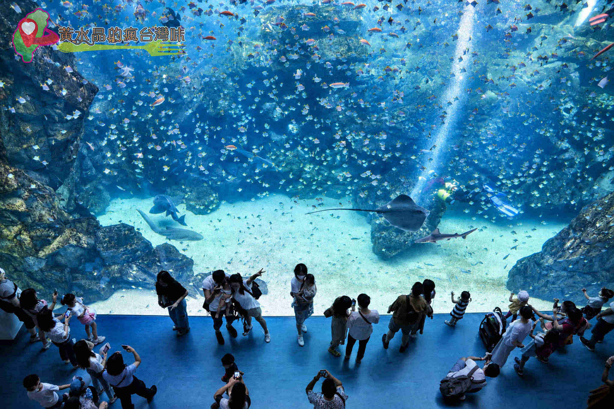 Xpark水族館|福爾摩沙 Xpark水族館|福爾摩沙