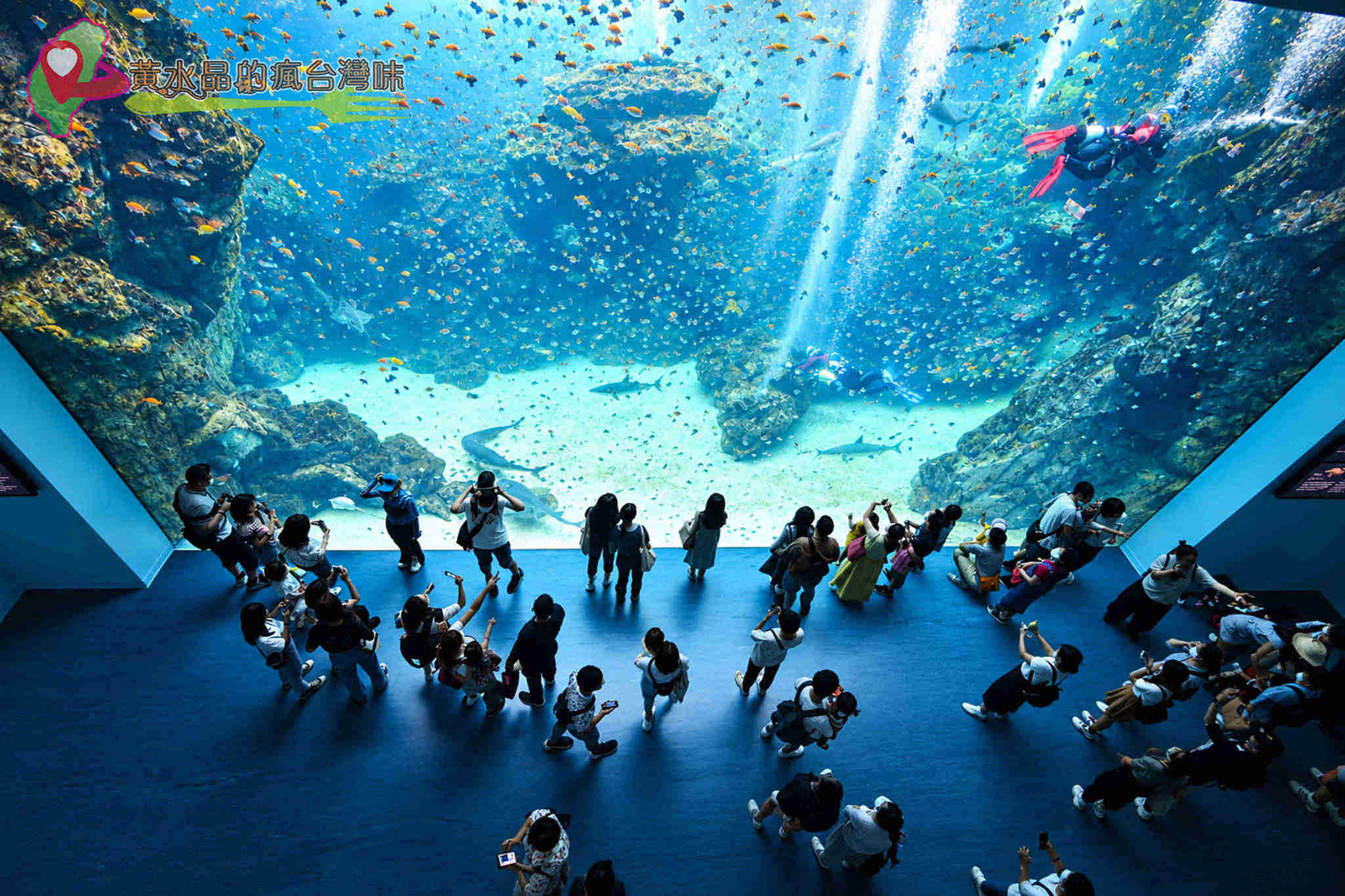 Xpark水族館|福爾摩沙 Xpark水族館|福爾摩沙