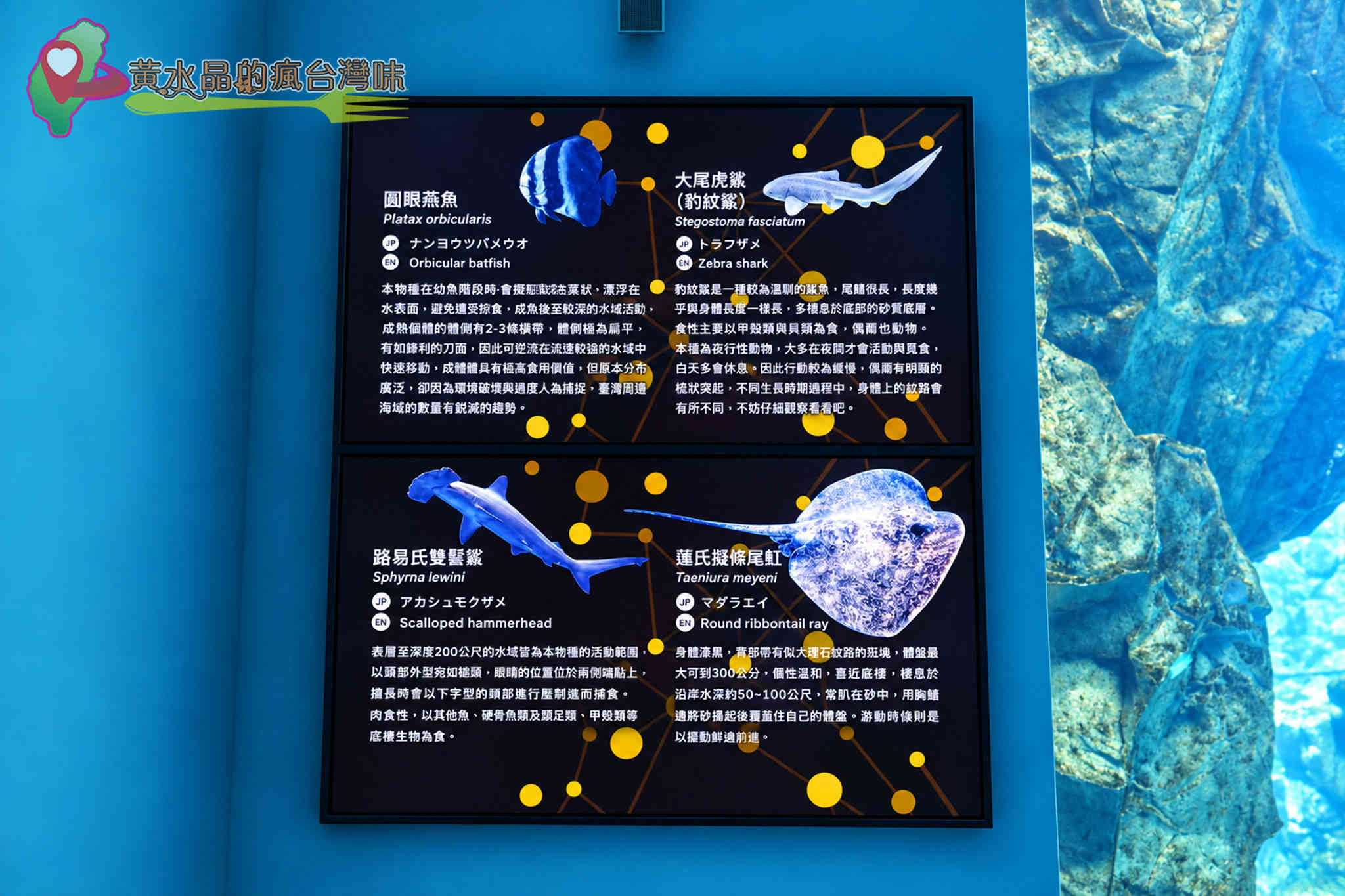 Xpark水族館|福爾摩沙 Xpark水族館|福爾摩沙