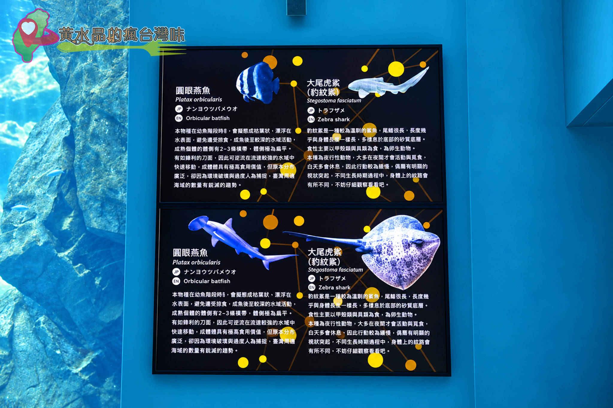 Xpark水族館|福爾摩沙 Xpark水族館|福爾摩沙