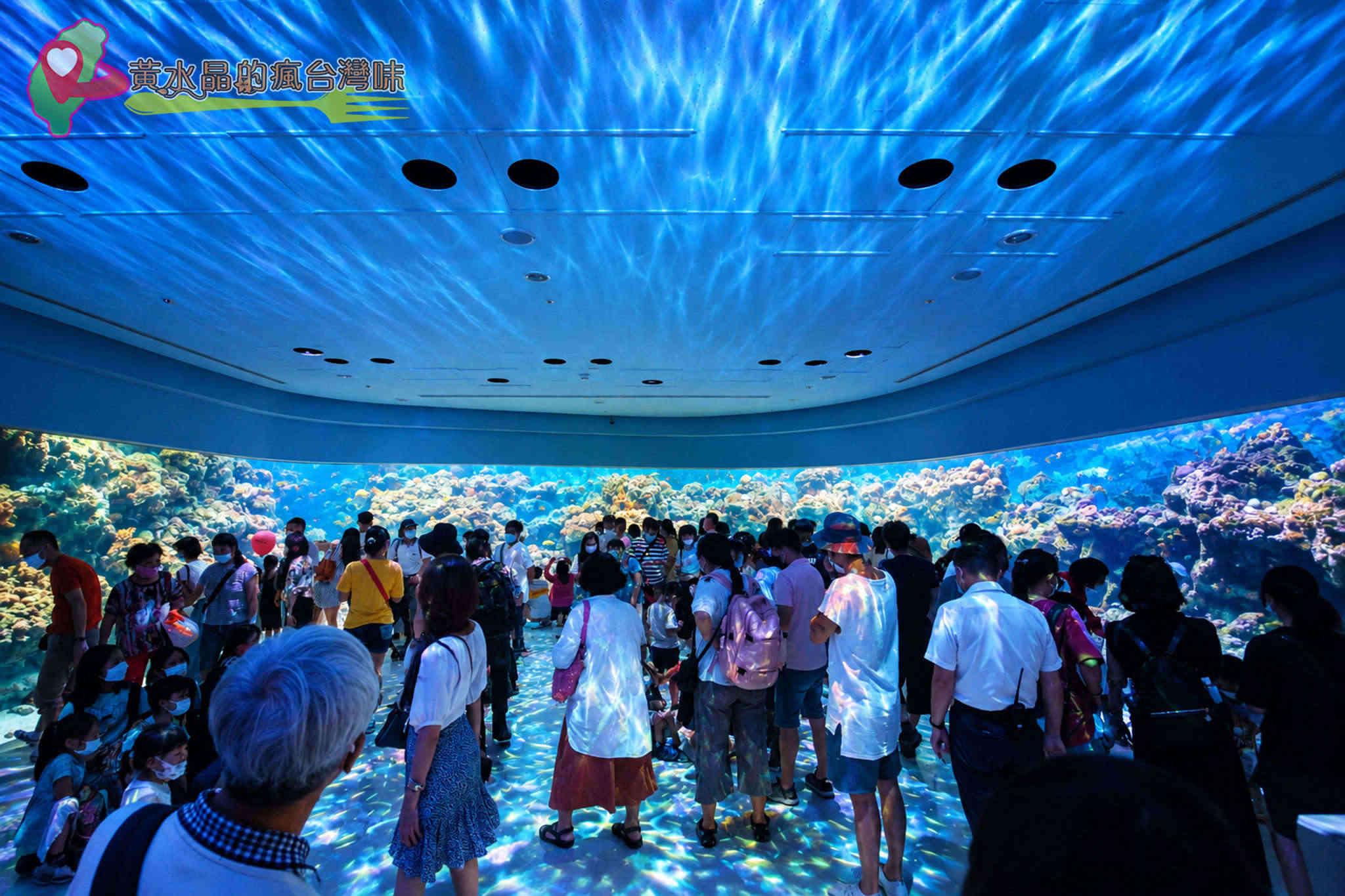 Xpark水族館|珊瑚潛行_珊瑚之森 Xpark水族館|珊瑚潛行_珊瑚之森