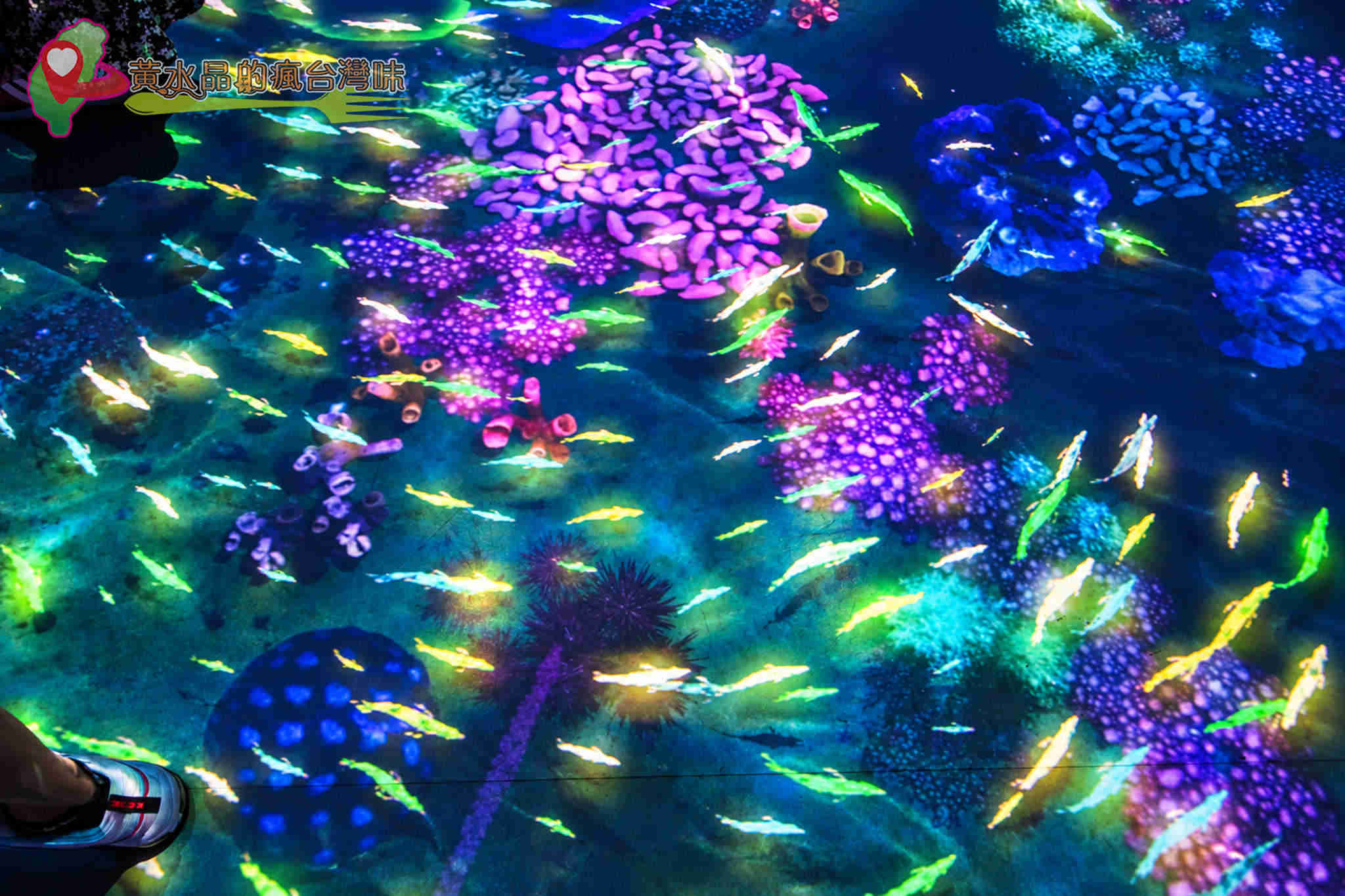 Xpark水族館|珊瑚潛行_珊瑚之森 Xpark水族館|珊瑚潛行_珊瑚之森
