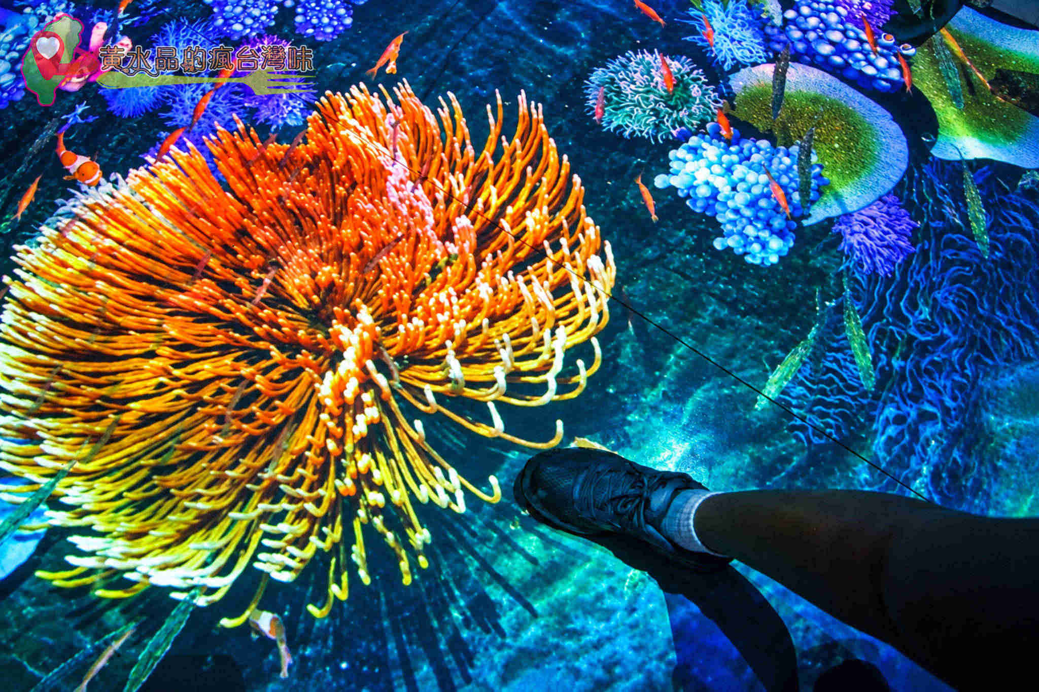 Xpark水族館|珊瑚潛行_珊瑚之森 Xpark水族館|珊瑚潛行_珊瑚之森