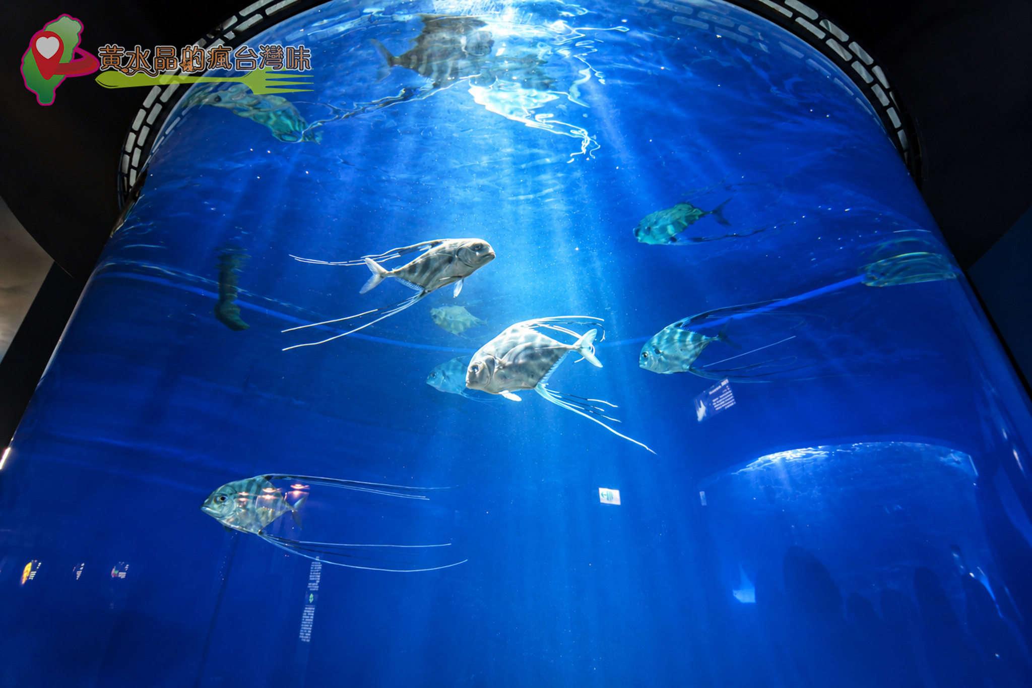 Xpark水族館|暖海生機 Xpark水族館|暖海生機