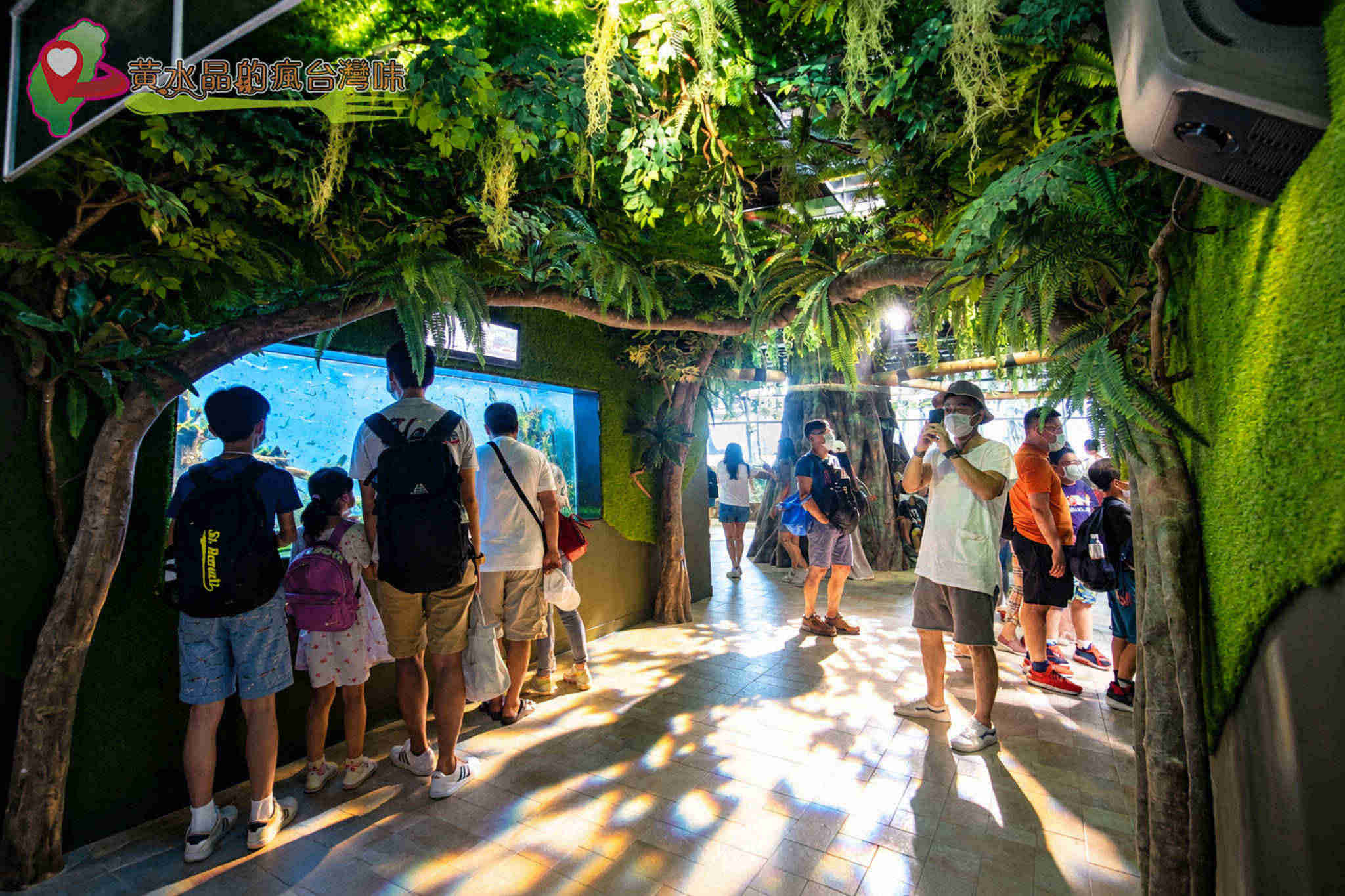 Xpark水族館|雨林探險 Xpark水族館|雨林探險