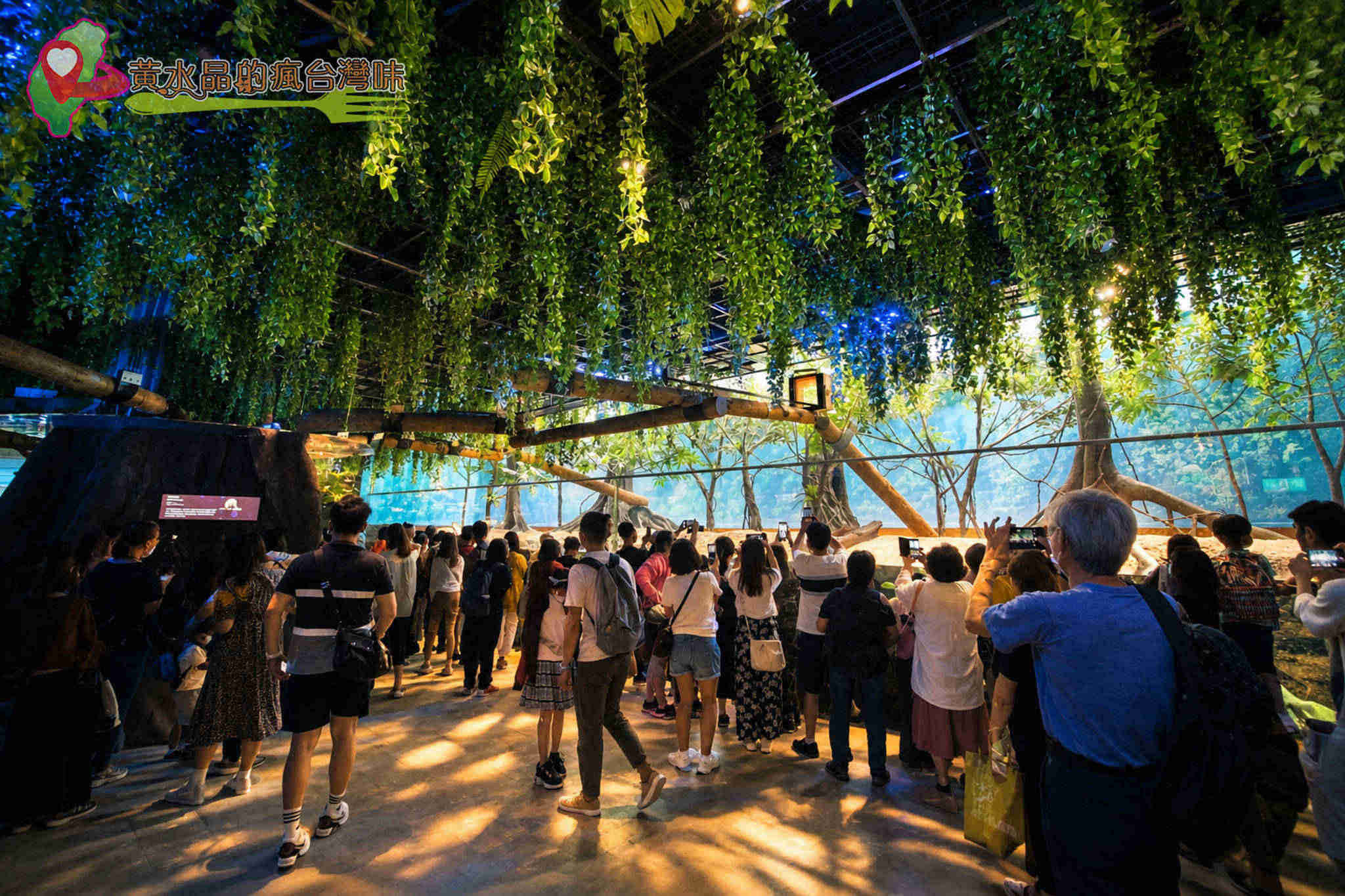 Xpark水族館|雨林探險 Xpark水族館|雨林探險