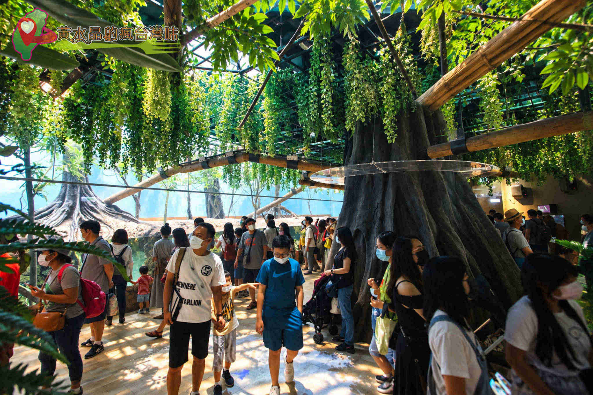 Xpark水族館|雨林探險 Xpark水族館|雨林探險