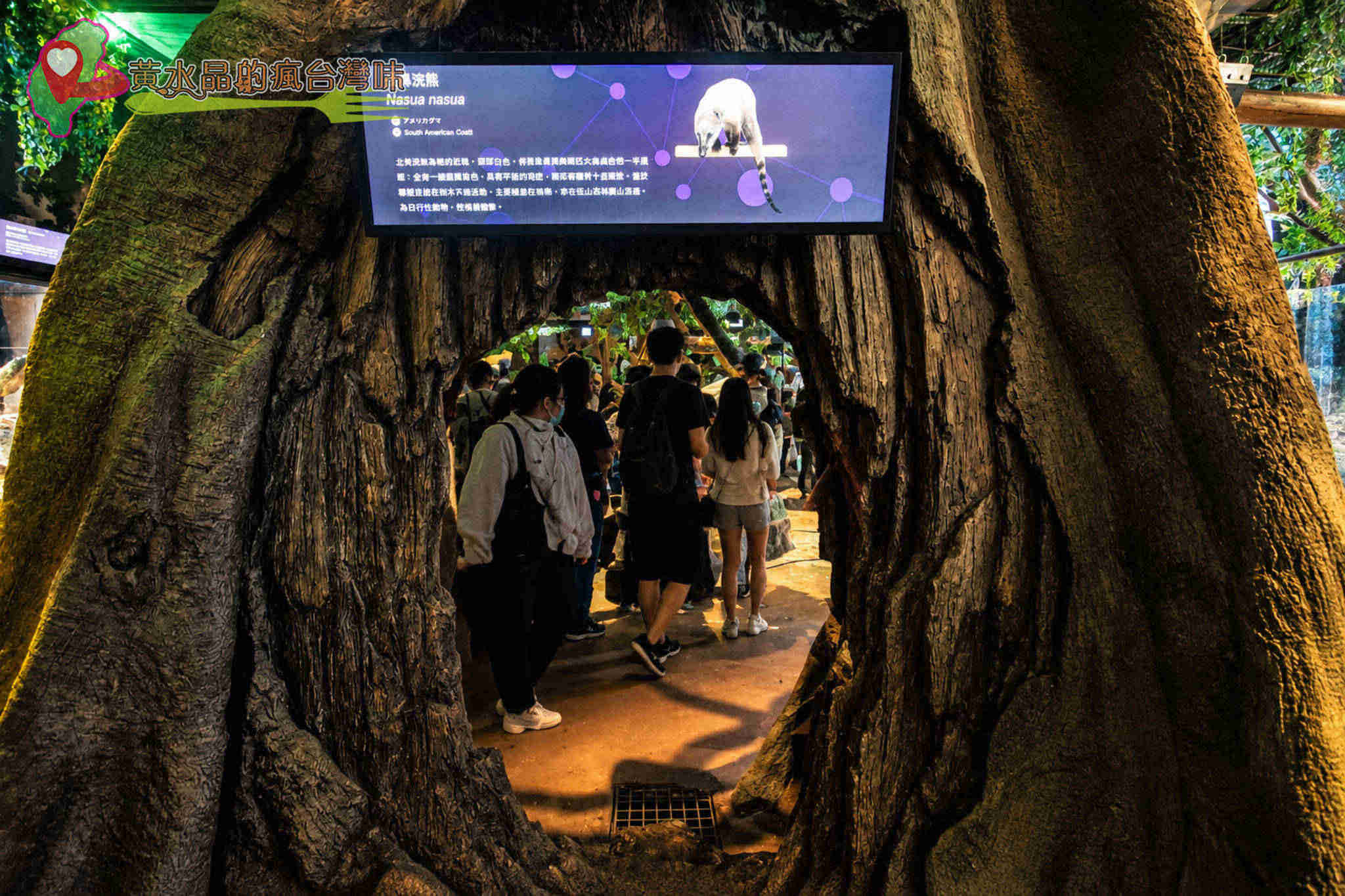 Xpark水族館|雨林探險 Xpark水族館|雨林探險