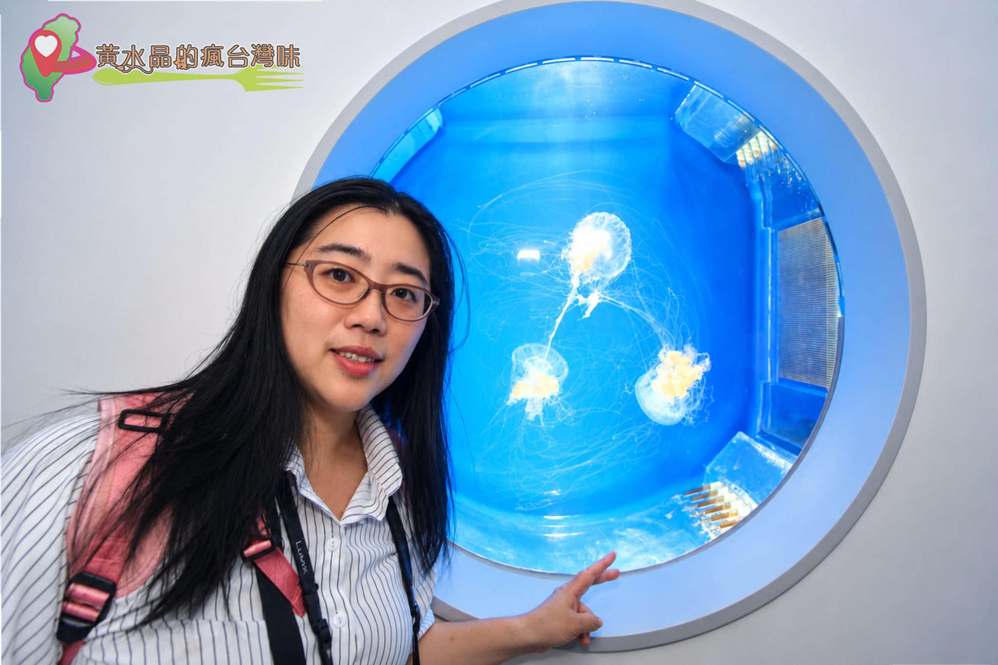 Xpark水族館|癒見水母|網美必拍 Xpark水族館|癒見水母|網美必拍