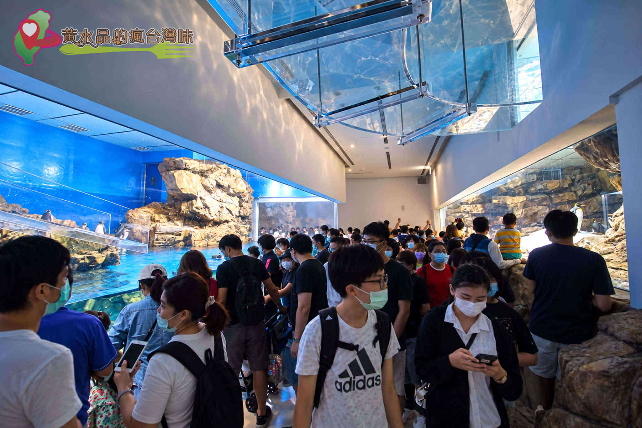 Xpark水族館|企鵝奇遇 Xpark水族館|企鵝奇遇