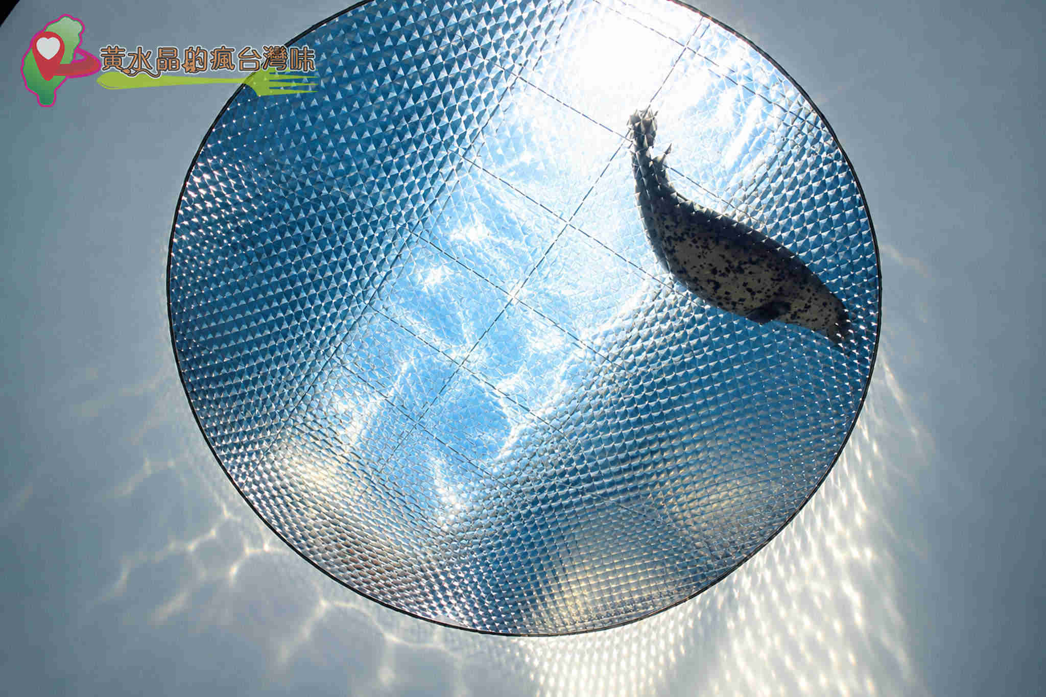 Xpark水族館|寒帶行凍 Xpark水族館|寒帶行凍