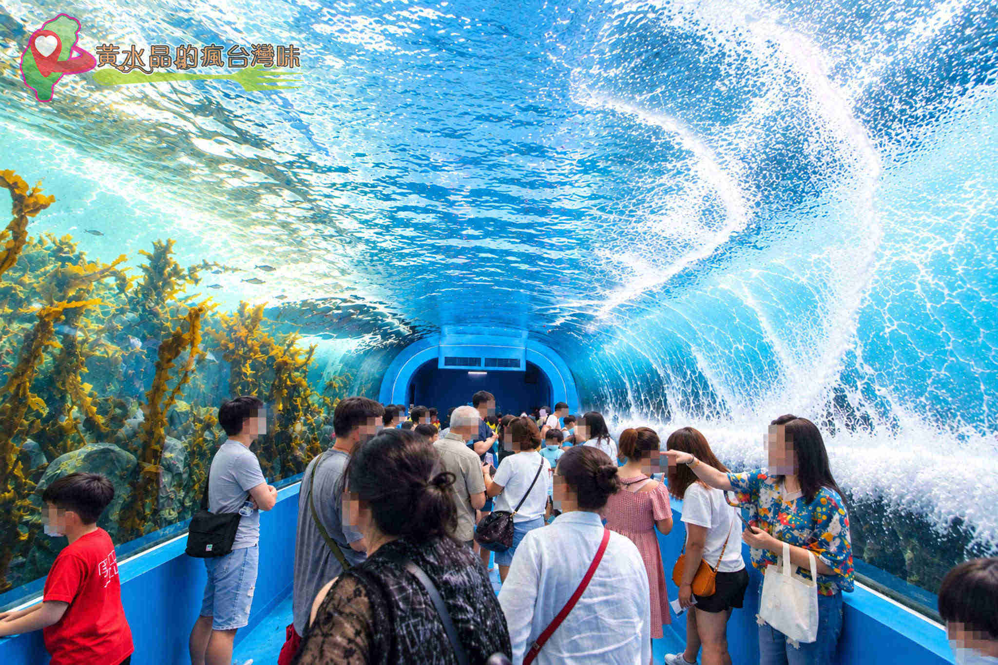 Xpark水族館|暖海生機 Xpark水族館|暖海生機