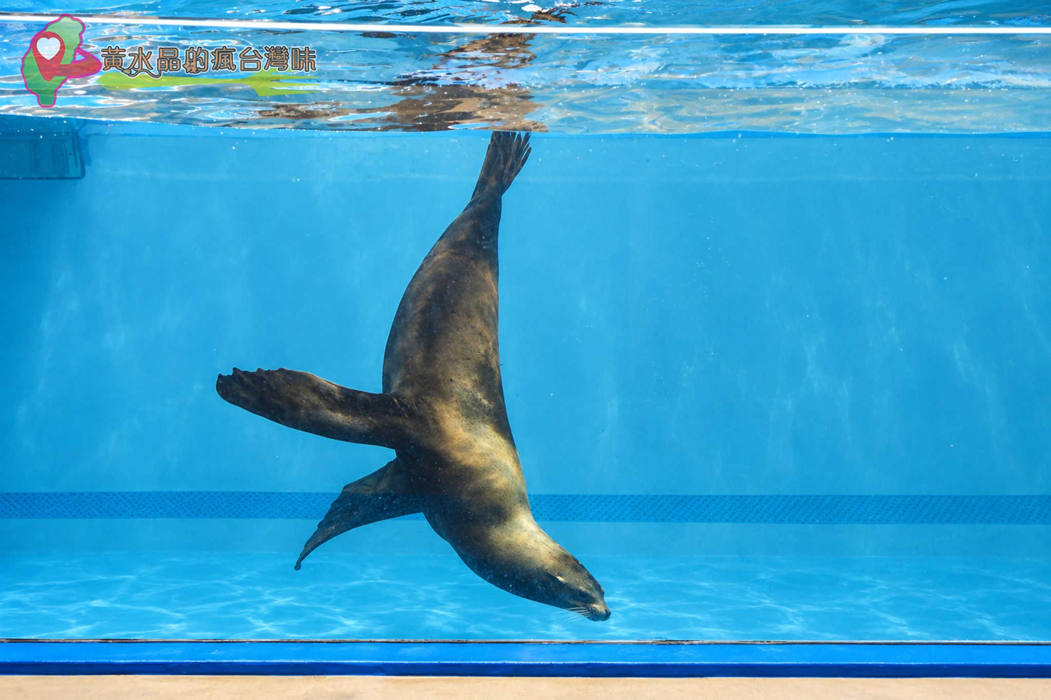 Xpark水族館|與眾同樂 Xpark水族館|與眾同樂