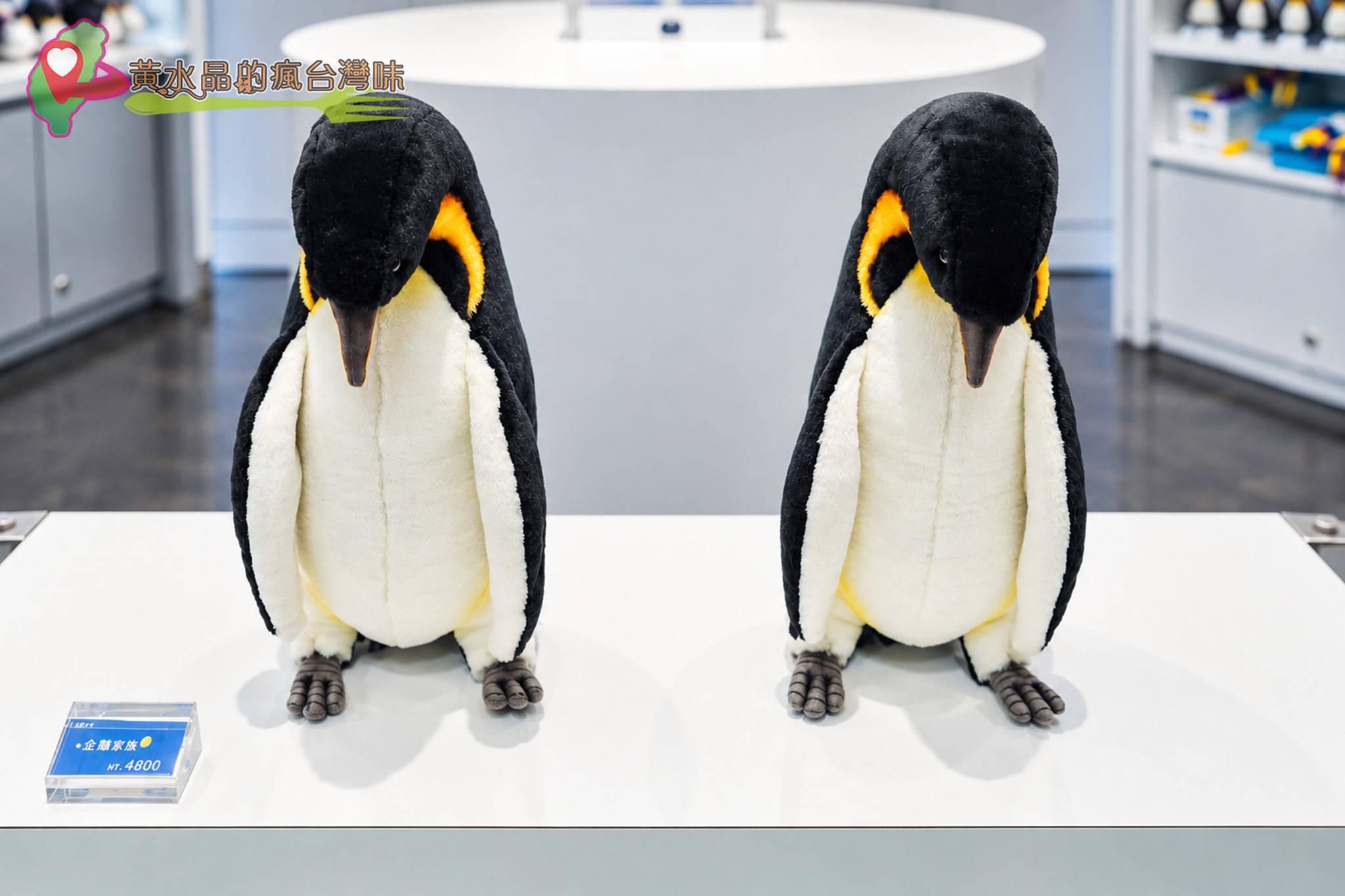 Xpark水族館|Xfun Xpark水族館|Xfun