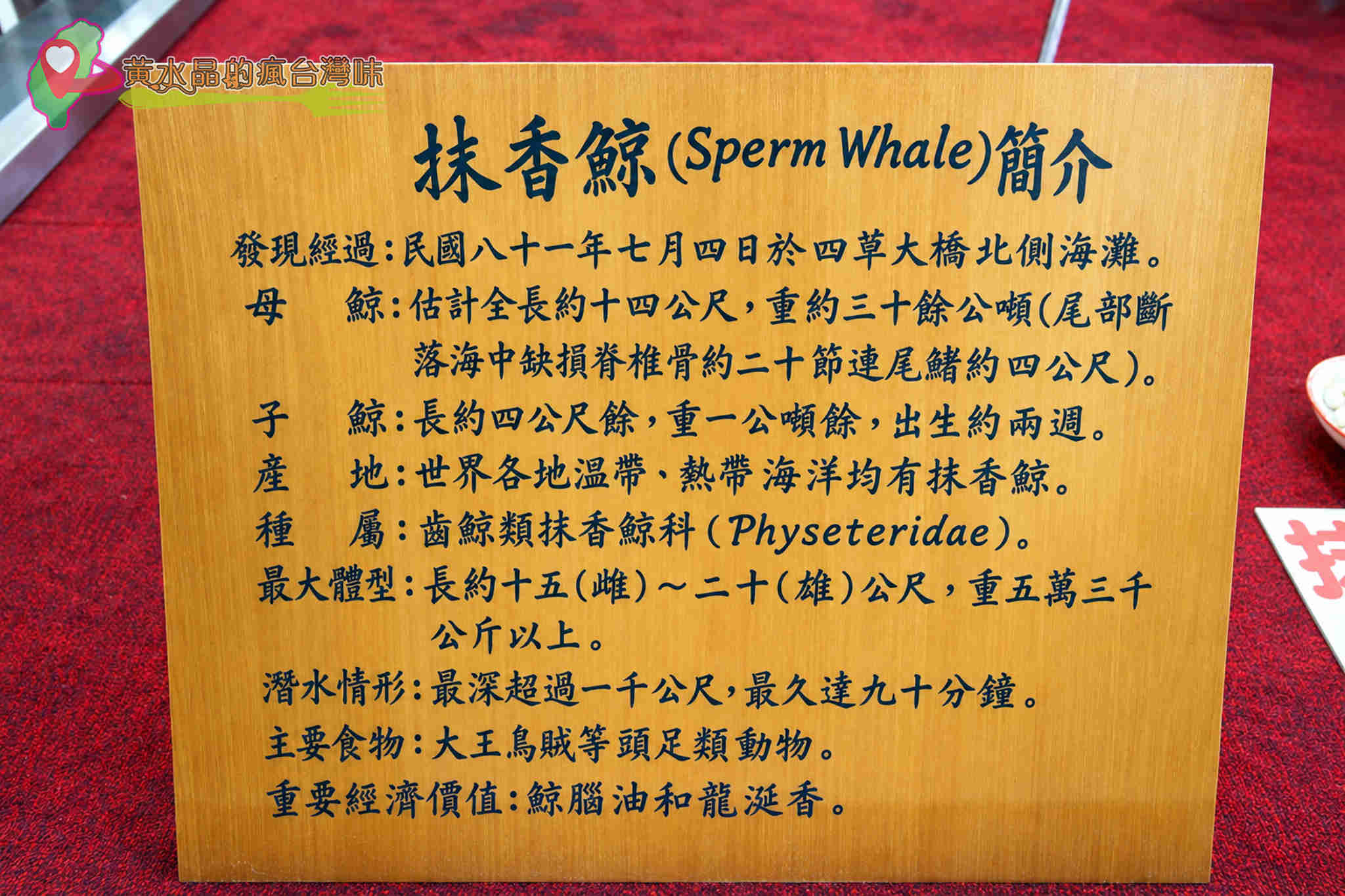 台南四草綠色隧道｜四草抹香鯨陳列館
