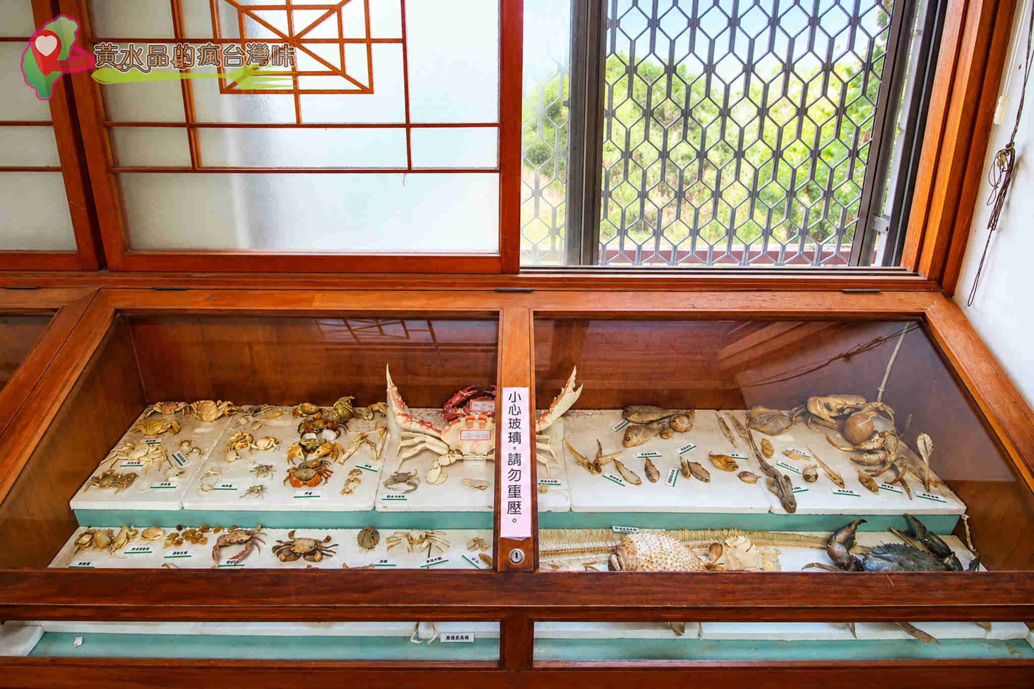 台南四草綠色隧道｜四草抹香鯨陳列館