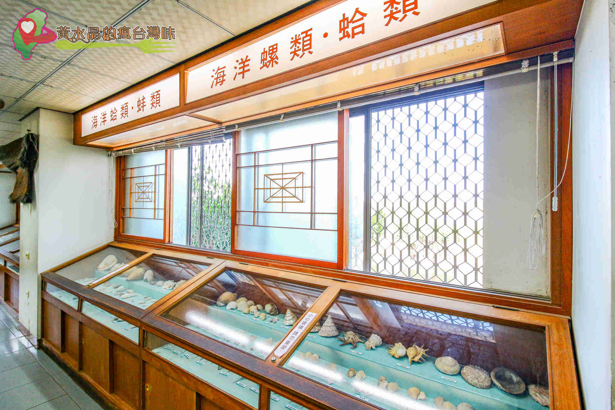 台南四草綠色隧道｜四草抹香鯨陳列館