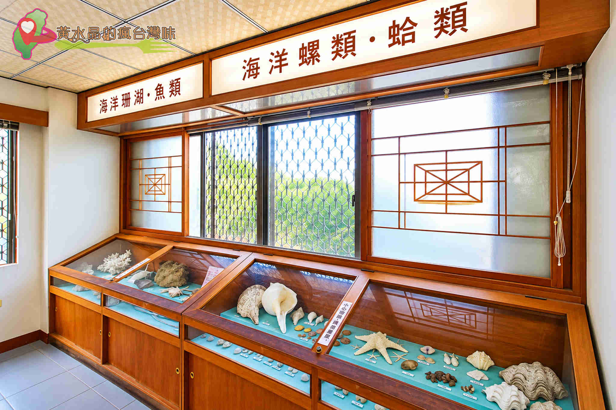 台南四草綠色隧道｜四草抹香鯨陳列館