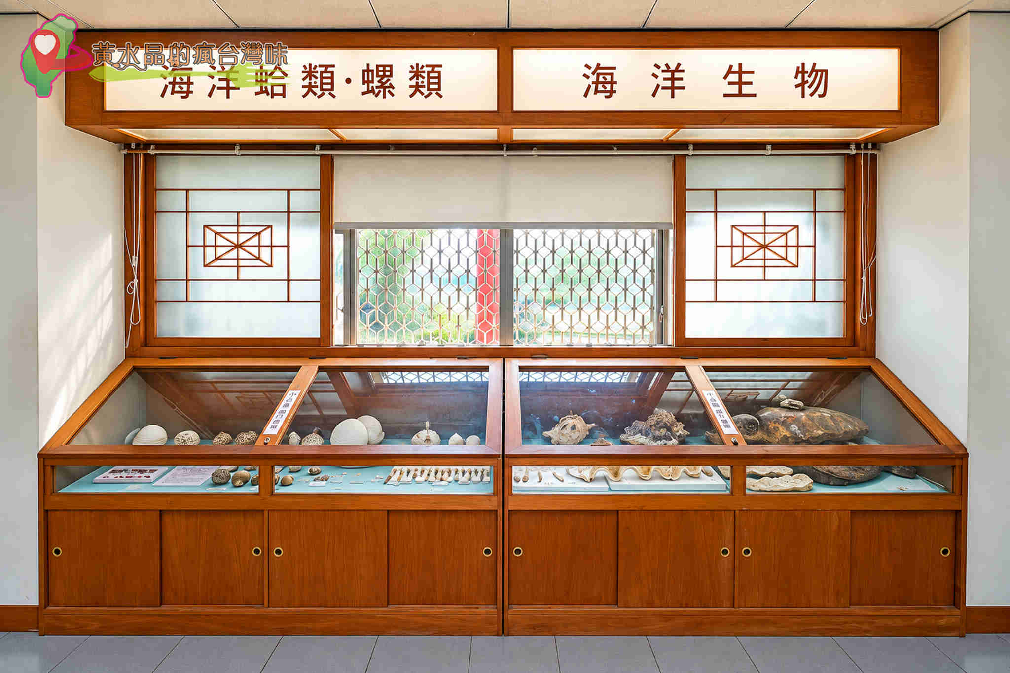 台南四草綠色隧道｜四草抹香鯨陳列館