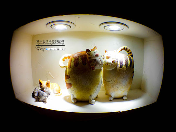 貓鼻子複合式咖啡餐飲【桃園美食】|桃園市桃園區低調Q萌必來咖啡專賣店；3D賣萌拉花好創意。(一訪+二訪) @黃水晶的瘋台灣味