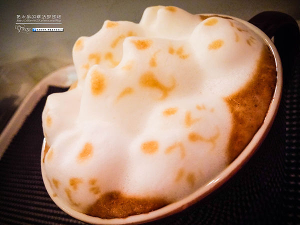 貓鼻子複合式咖啡餐飲【桃園美食】|桃園市桃園區低調Q萌必來咖啡專賣店；3D賣萌拉花好創意。(一訪+二訪) @黃水晶的瘋台灣味