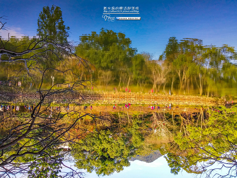 角板山梅花季【復興景點】|桃園冬季賞梅花景點；角板山賞花一日遊懶人包(附公車資訊) @黃水晶的瘋台灣味