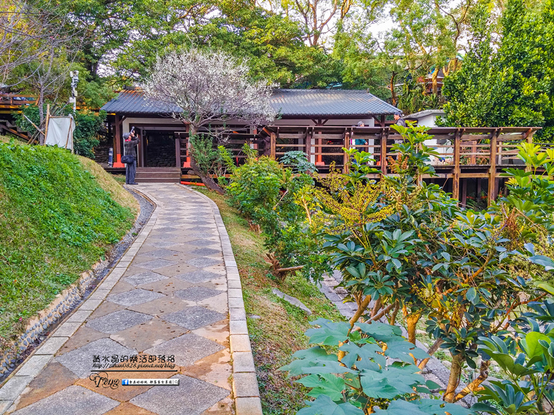 角板山梅花季【復興景點】|桃園冬季賞梅花景點；角板山賞花一日遊懶人包(附公車資訊) @黃水晶的瘋台灣味