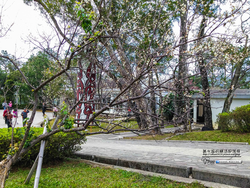 角板山梅花季【復興景點】|桃園冬季賞梅花景點；角板山賞花一日遊懶人包(附公車資訊) @黃水晶的瘋台灣味