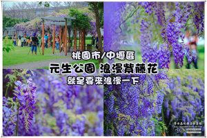 元生公園紫藤花季【桃園景點】|桃園市中壢區浪漫紫藤花超級人氣熱門景點，除了浪漫還是浪漫。 @黃水晶的瘋台灣味