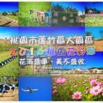 2016桃園花彩節【桃園景點】|蘆竹文青風&大園農村風花海登場；怎麼拍怎麼美 @黃水晶的瘋台灣味