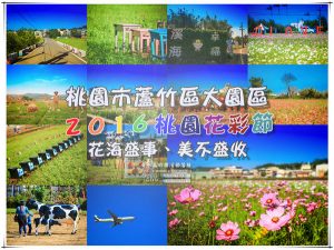 2016桃園花彩節【桃園景點】|蘆竹文青風&大園農村風花海登場；怎麼拍怎麼美 @黃水晶的瘋台灣味