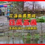 鈺展苗圃【花蓮景點】|壽豐東華大學附近落羽松秘境台九線旁超人氣景點 @黃水晶的瘋台灣味